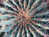 Converging